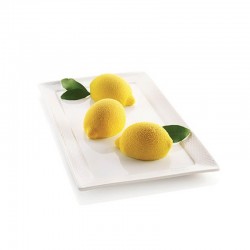 Delizia al limone 6 cavità Silikomart
