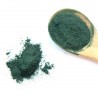 Alga Spirulina in polvere da Agricoltura Biologica *