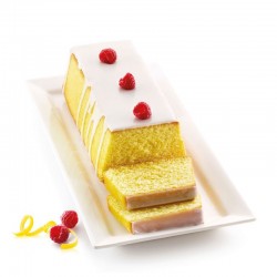 Plumcake in silicone cm 26x10x7