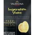 Inspiration Yuzu Valrhona g 300