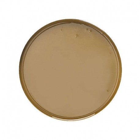 Pasta di Noci tostata di Sorrento