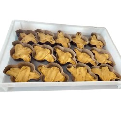 Stampo colombina monouso g 100 - 10 pz