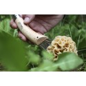 Roncola con spazzolino per funghi - Opinel